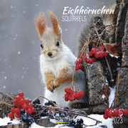 Eichhörnchen 2023 - Cover
