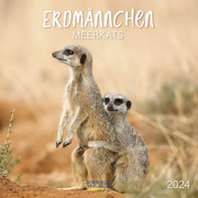 Erdmännchen 2024 - Cover
