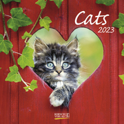Cats 2023 - Cover