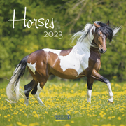 Horses 2023