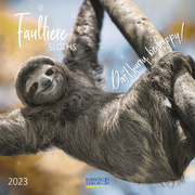 Faultier 2023 - Cover