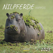 Nilpferde 2023