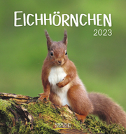 Eichhörnchen 2023 - Cover