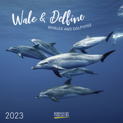 Wale & Delfine 2023