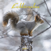 Eichhörnchen 2024 - Cover