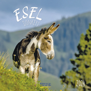Esel 2024 - Cover