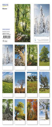 Bäume 2024 - Abbildung 13