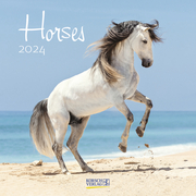 Horses 2024 - Cover