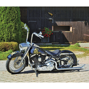 Dreambikes - Harley-Davidson 2024 - Illustrationen 7
