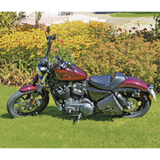 Dreambikes - Harley-Davidson 2024 - Illustrationen 10