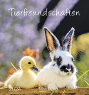 Tierfreundschaften 2024 - Cover