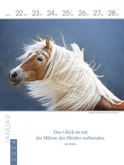 Literaturkalender Pferde 2024 - Abbildung 1