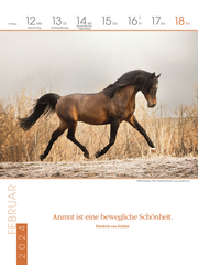 Literaturkalender Pferde 2024 - Abbildung 2