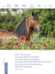 Literaturkalender Pferde 2024 - Abbildung 7