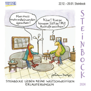Steinbock Mini 2024 - Cover