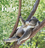 Koalas 2024 - Cover