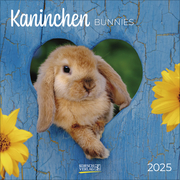 Kaninchen 2025 - Cover