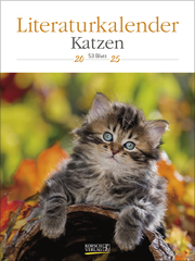 Literaturkalender Katzen 2025 - Cover