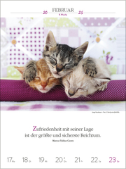 Literaturkalender Katzen 2025 - Illustrationen 2