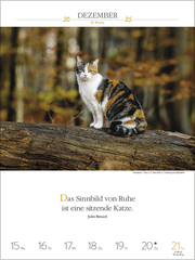 Literaturkalender Katzen 2025 - Illustrationen 12