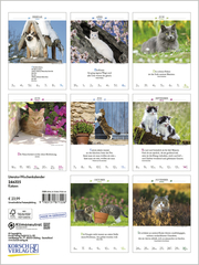 Literaturkalender Katzen 2025 - Illustrationen 14