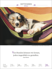 Literaturkalender Hunde 2025 - Abbildung 12