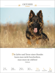 Literaturkalender Hunde 2025 - Abbildung 13