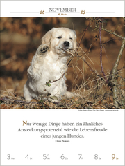 Literaturkalender Hunde 2025 - Abbildung 14