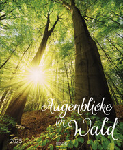 Augenblicke im Wald 2025 - Cover