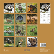 Tiere des Waldes 2025 - Abbildung 13