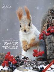 Heimische Tierwelt 2025 - Cover