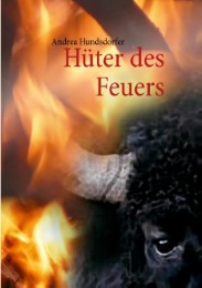 Hüter des Feuers - Cover