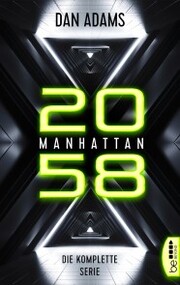 Manhattan 2058