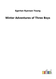 Winter Adventures of Three Boys - Cover