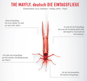 The Mayfly - Die Chemie des Bösen - Abbildung 1