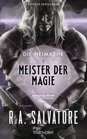 Die Heimkehr 1 - Meister der Magie - Cover