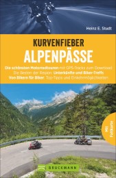 Kurvenfieber Alpenpässe - Cover