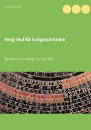 Feng Shui für Fortgeschrittene 4 - Cover
