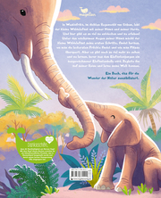 Der kleine Waldelefant - Zu Hause in Afrika - Abbildung 3