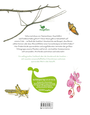 Insekten - Kleine Lebewesen, große Vielfalt - Illustrationen 1