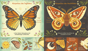 Das Wunder eines Schmetterlings - Wie sich die Natur verwandelt - Abbildung 1