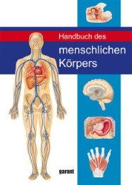 Handbuch des menschlichen Körpers