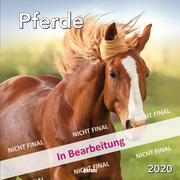 Monatskalender Pferde 2020