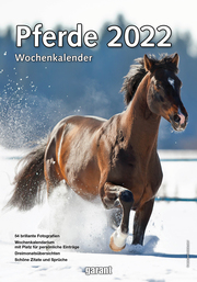 Pferde 2022 - Cover