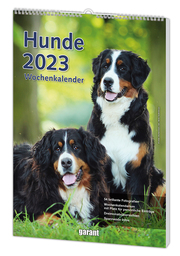Hunde 2023 - Cover