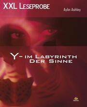 XXL Leseprobe: Y - Im Labyrinth der Sinne