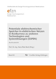 Potentiale elektrochemischer Speicher in elektrischen Netzen in Konkurrenz zu anderen Technologien und Systemlösungen (ESPEN). Abschlussbericht