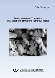 Experimental and Theoretical Investigations of Wicking in Porous Media