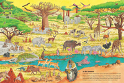 Duden 24+: Igel, Frosch & Elefant: Das große Wimmelbuch der Tiere - Abbildung 2