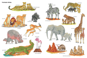 Igel, Frosch & Elefant: Das große Wimmelbuch der Tiere - Abbildung 3